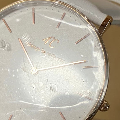 Canal 4c Analog Quartz Men