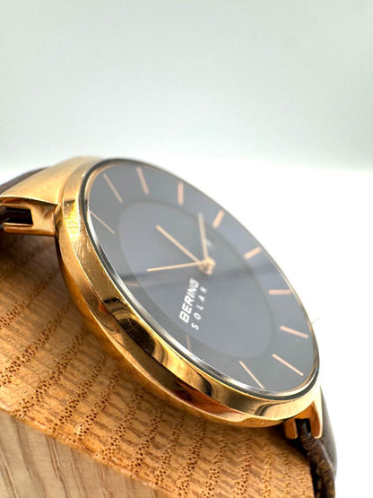 Bering Solar Analog Men Quartz Watch