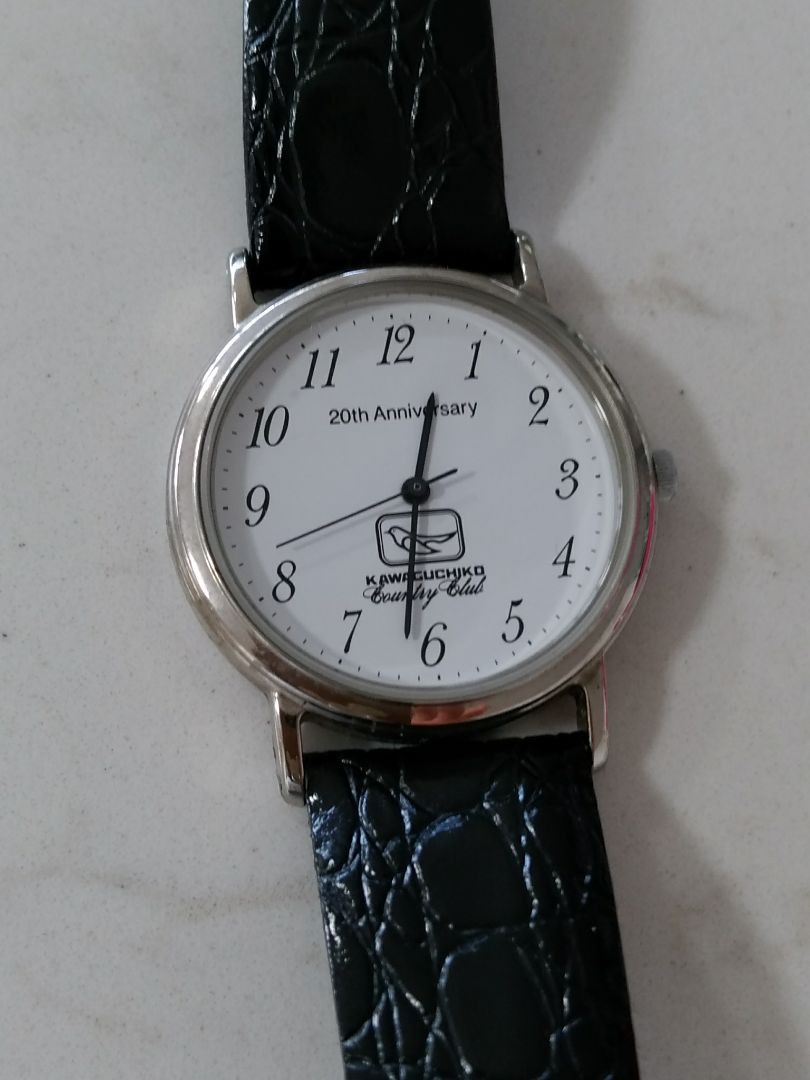 Citizen Analog Quartz Men