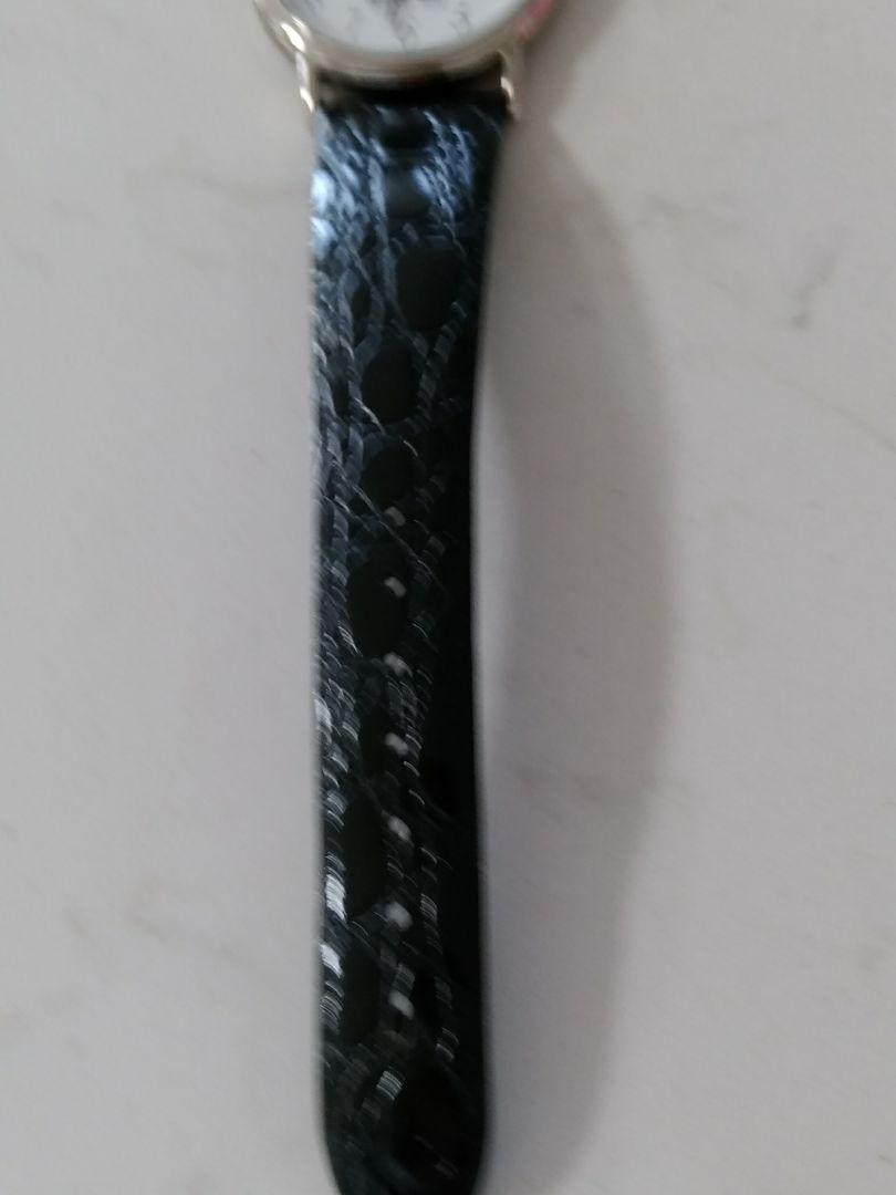 Citizen Analog Quartz Men