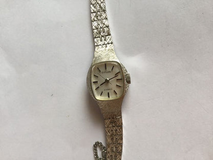 Citizen Analog Mechanical (Manual) Men