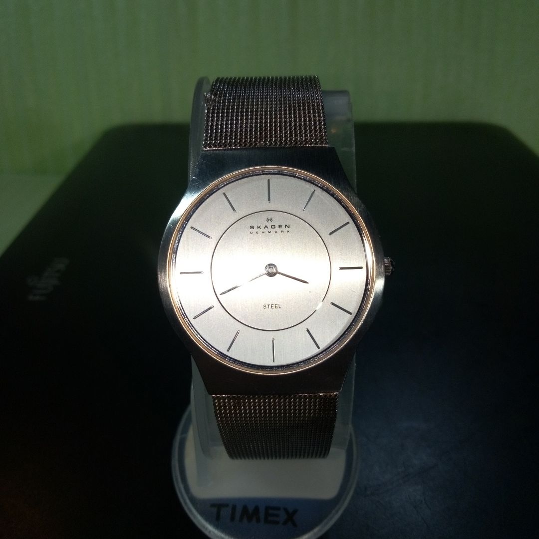 Skagen 233LSS Analog Quartz Men