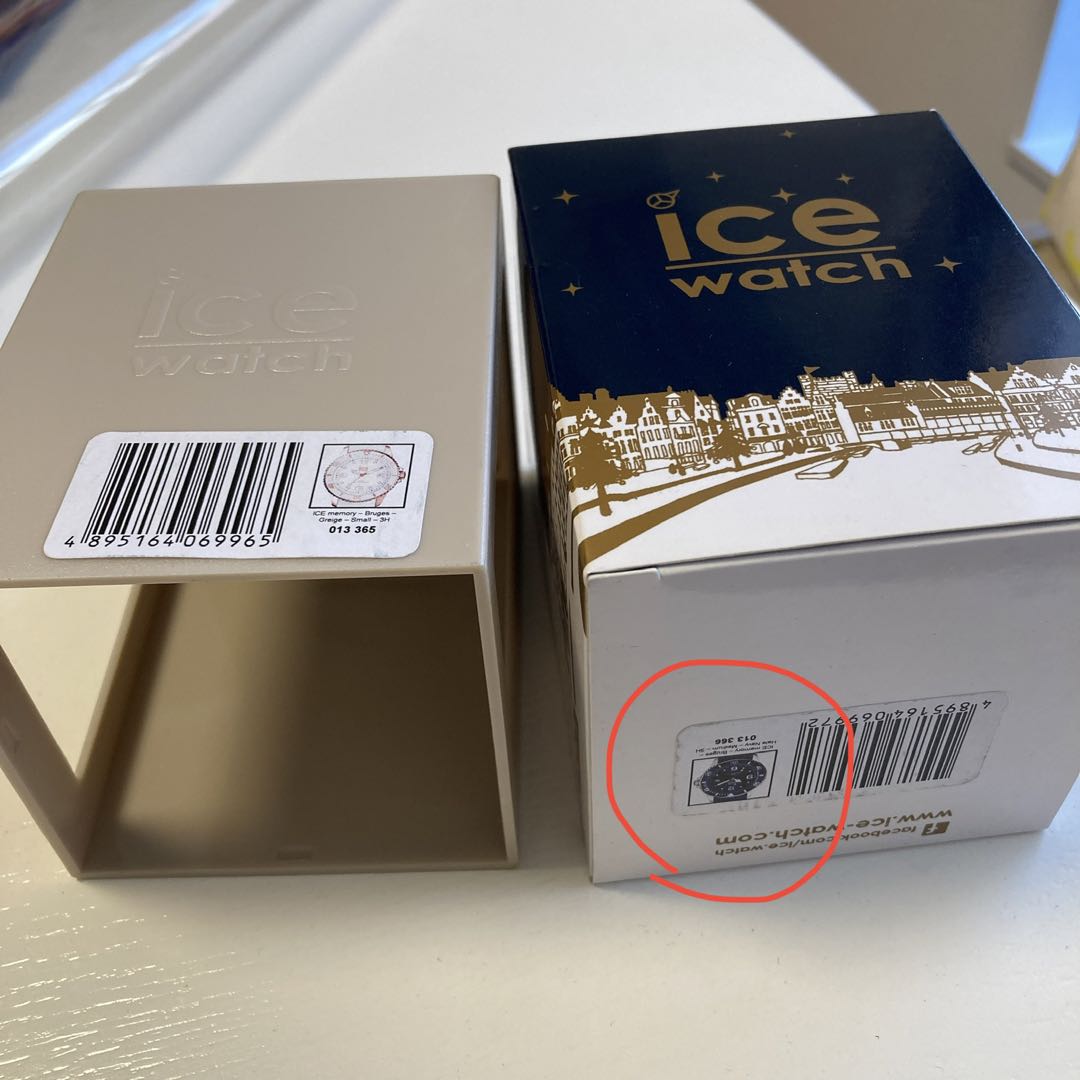 Ice watch Analog Quartz Women