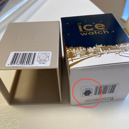 Ice watch Analog Quartz Women