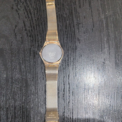 Citizen Analog Quartz Men