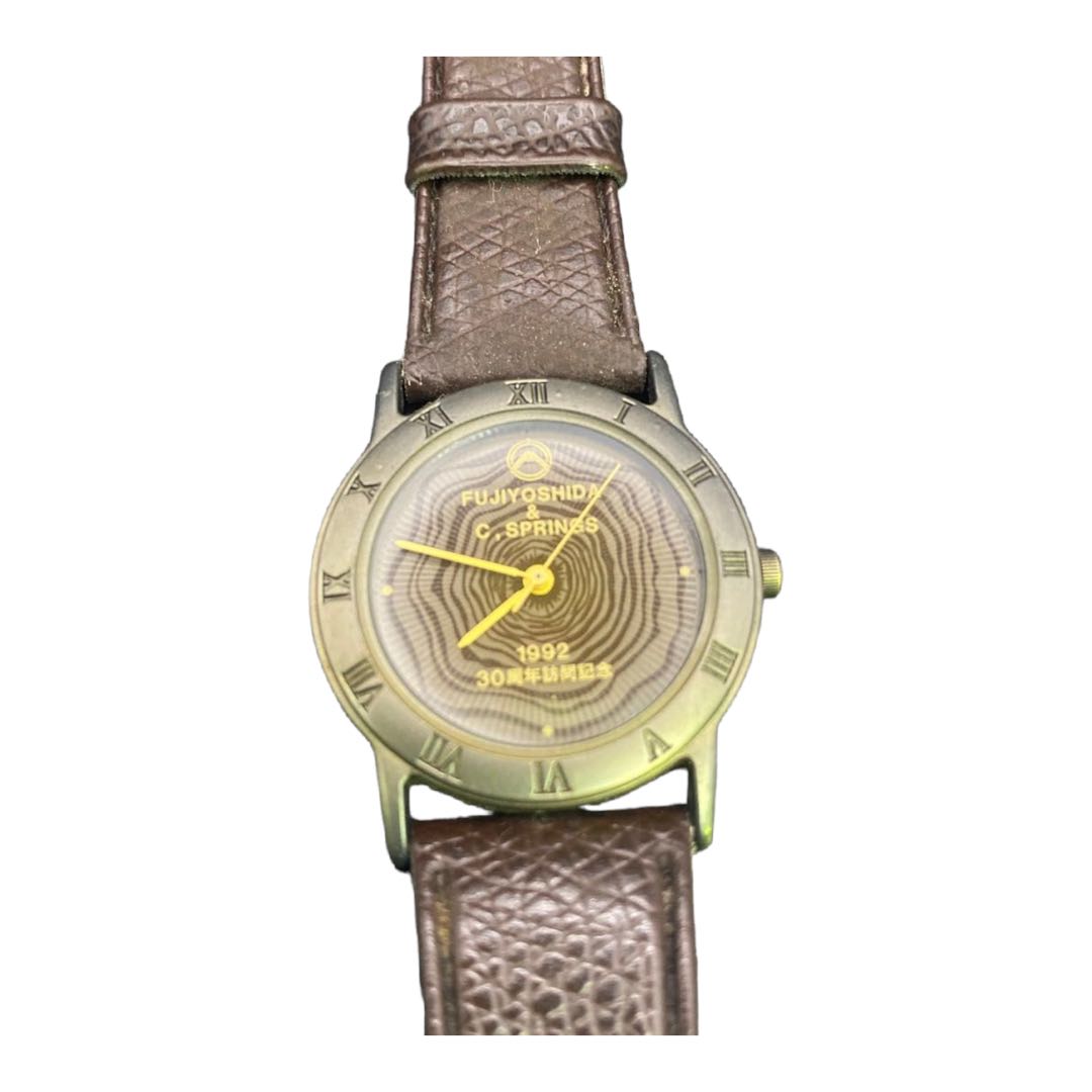 Citizen FV-115 Analog Quartz Men