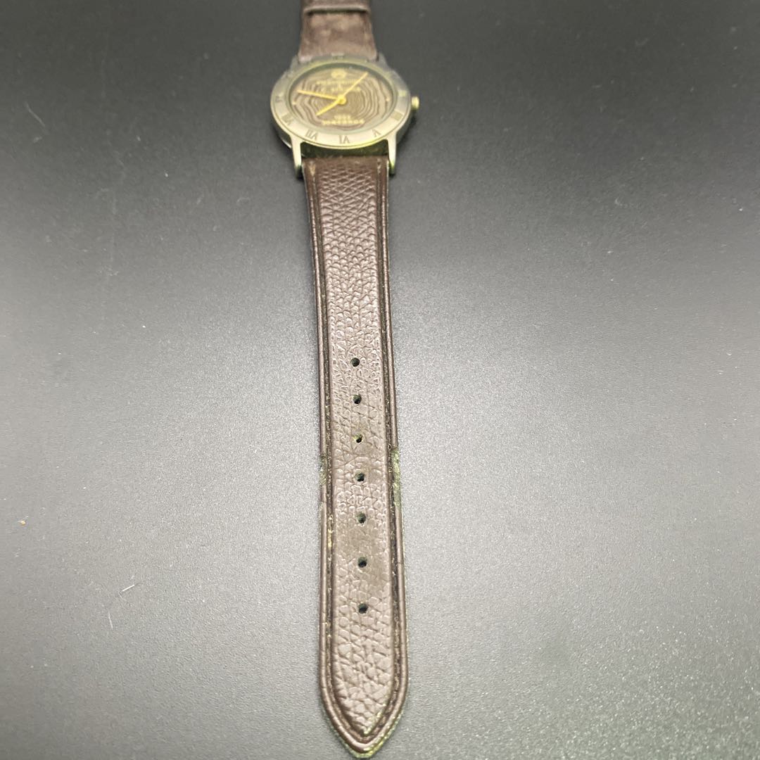 Citizen FV-115 Analog Quartz Men