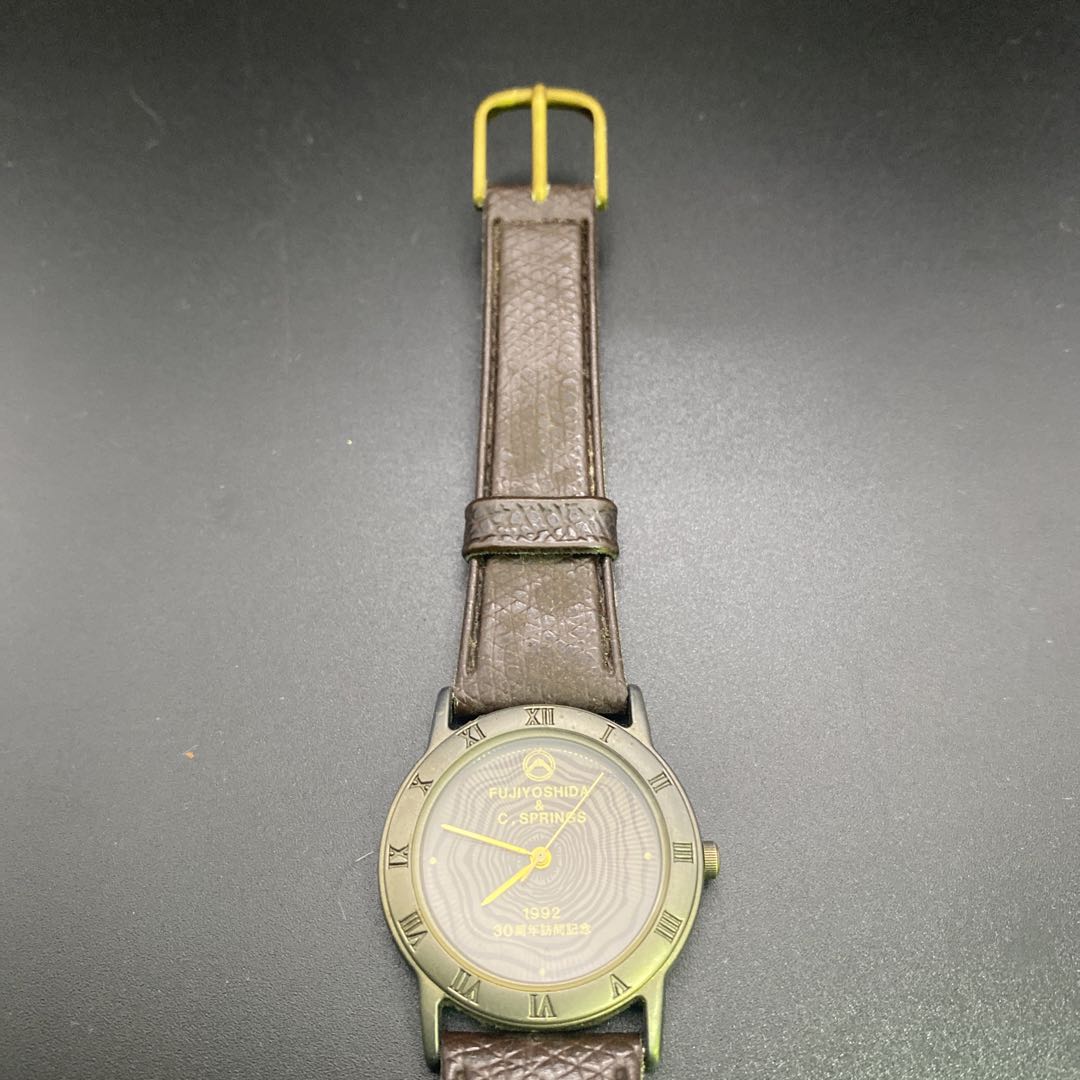 Citizen FV-115 Analog Quartz Men