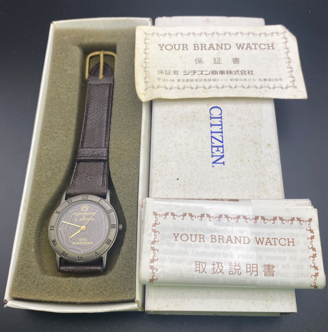 Citizen FV-115 Analog Quartz Men