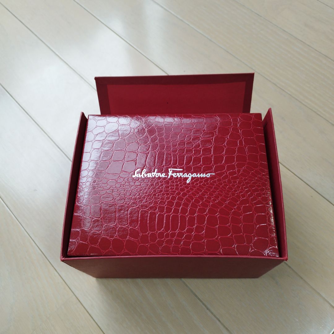 Ferragamo Analog Mechanical (Manual) Women