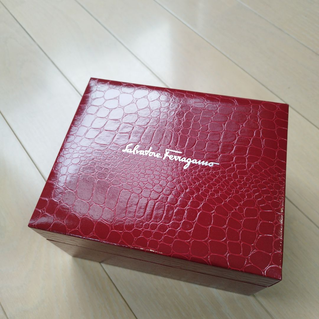 Ferragamo Analog Mechanical (Manual) Women