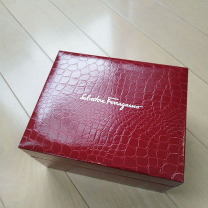 Ferragamo Analog Mechanical (Manual) Women