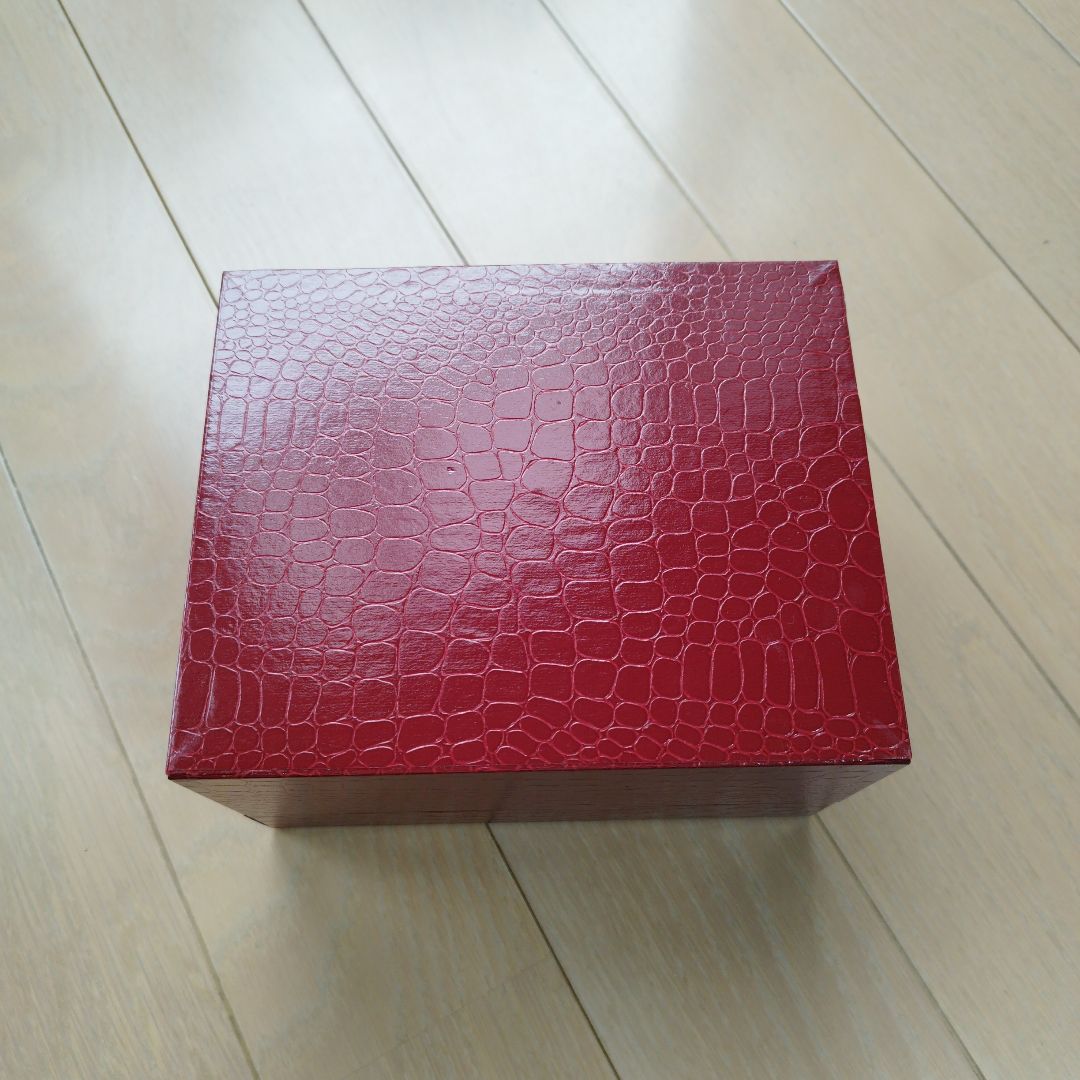Ferragamo Analog Mechanical (Manual) Women