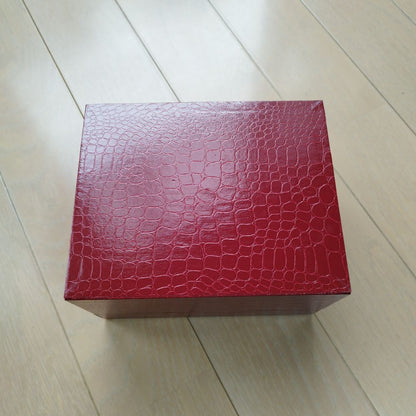 Ferragamo Analog Mechanical (Manual) Women