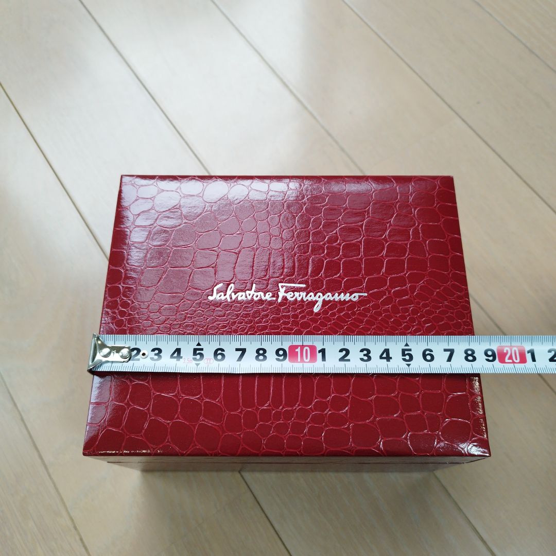 Ferragamo Analog Mechanical (Manual) Women