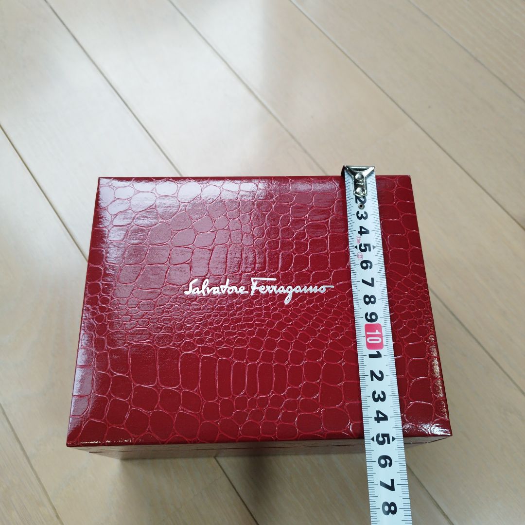 Ferragamo Analog Mechanical (Manual) Women
