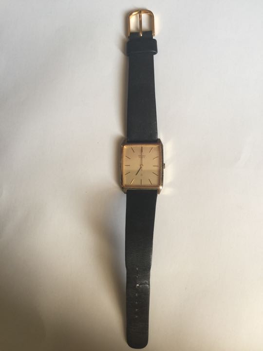Seiko Analog Quartz Men