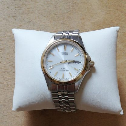 Citizen Eco-Drive FORMA Analog Solar Men