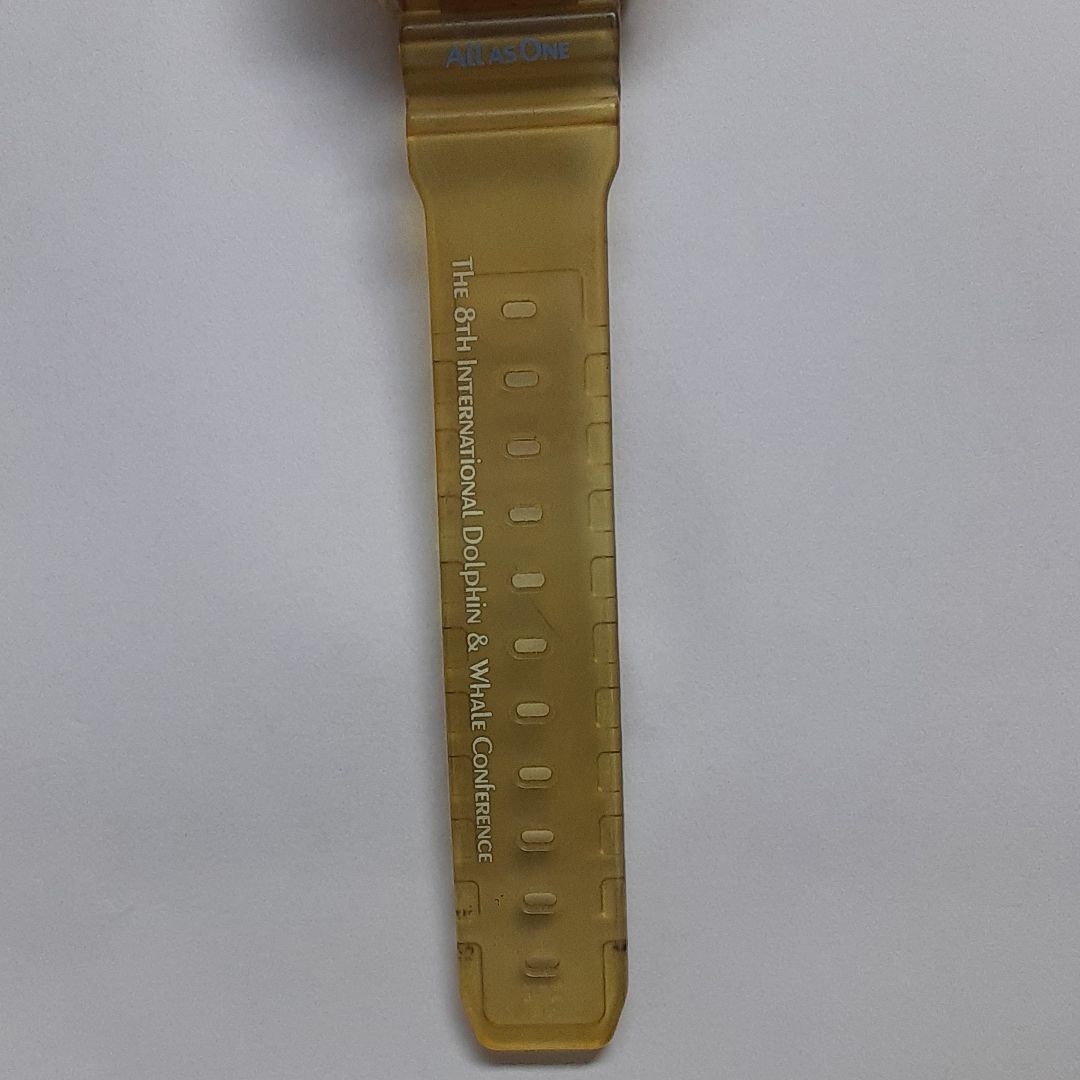 G-Shock ICERC dolphin whale DW-9000 Digital Quartz Men