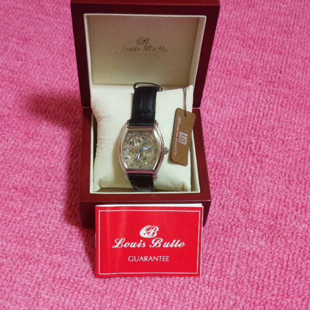 Louisbuiie Analog Mechanical (Automatic) Men