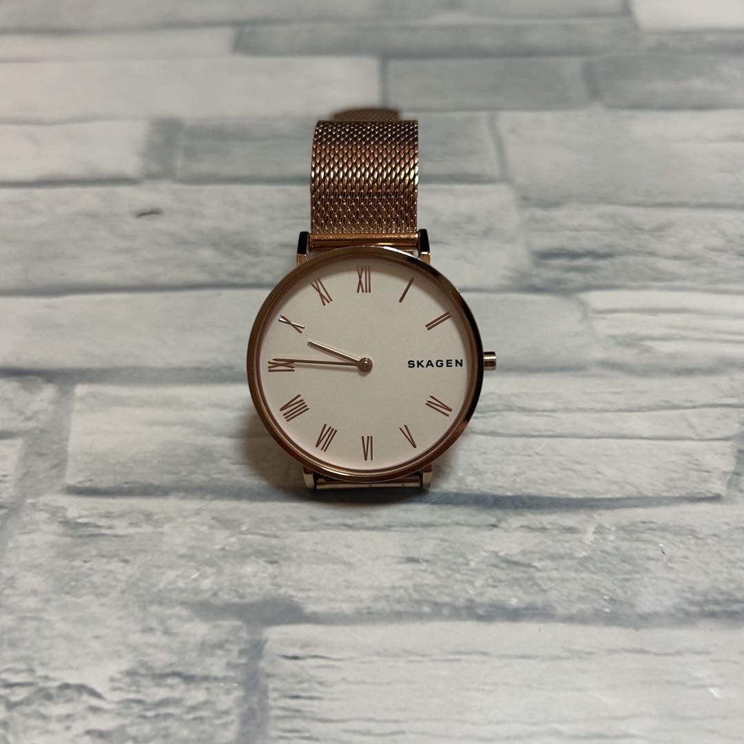 Skagen Analog Quartz Women