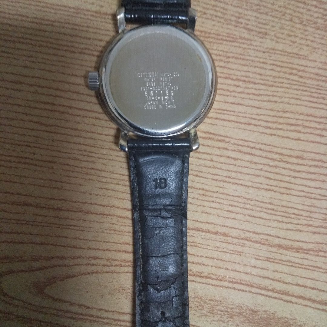 Citizen leopard Analog Solar Women