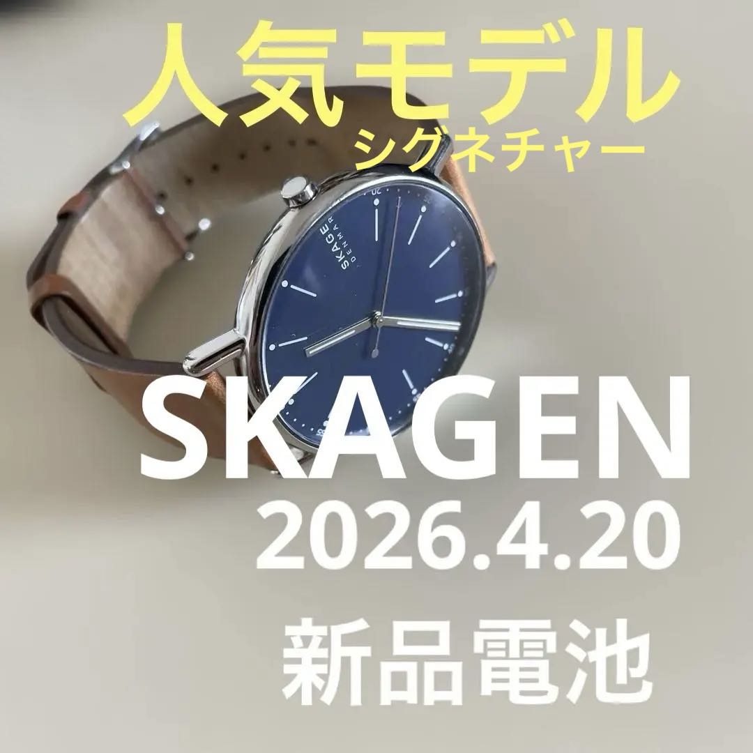 Skagen Analog Quartz Men