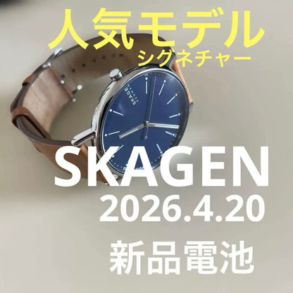Skagen Analog Quartz Men