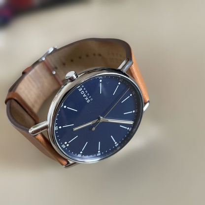 Skagen Analog Quartz Men