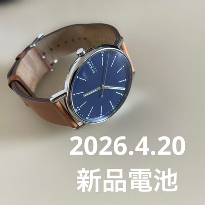 Skagen Analog Quartz Men