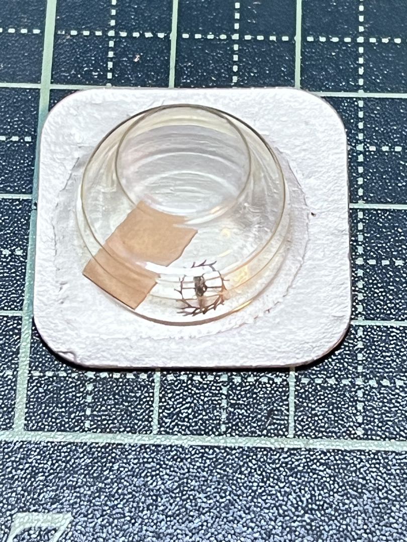 Analog Quartz Men