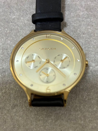 Skagen Analog Quartz Women