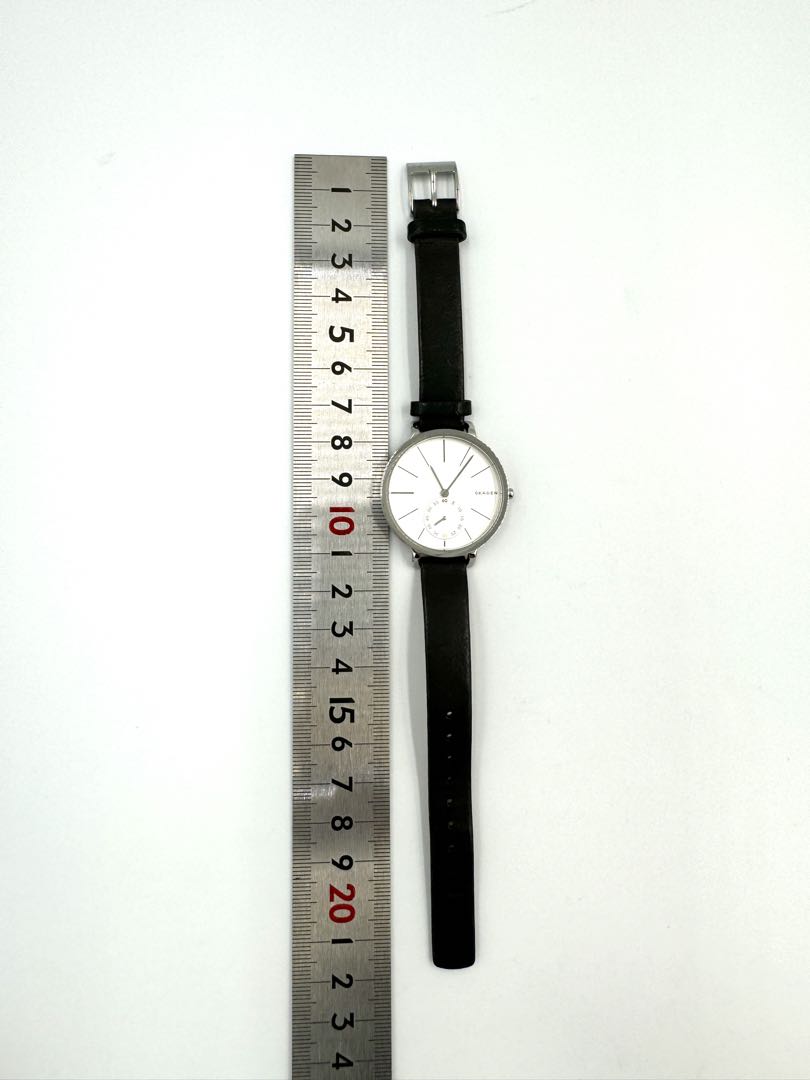 Skagen Analog Quartz Women Watch