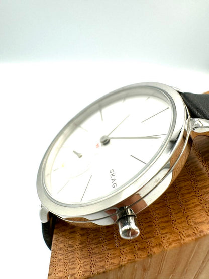 Skagen Analog Quartz Women Watch