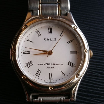 Seiko Alba Carib Analog Quartz Men