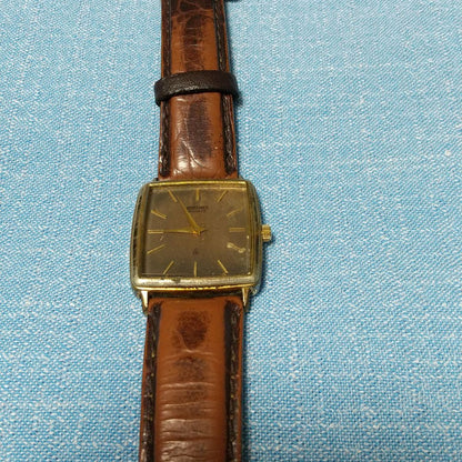 Seiko Analog Quartz Men