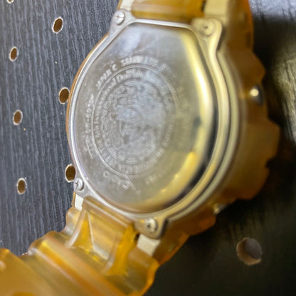 G-Shock ICERC dolphin whale DW-6910K Digital Quartz Men