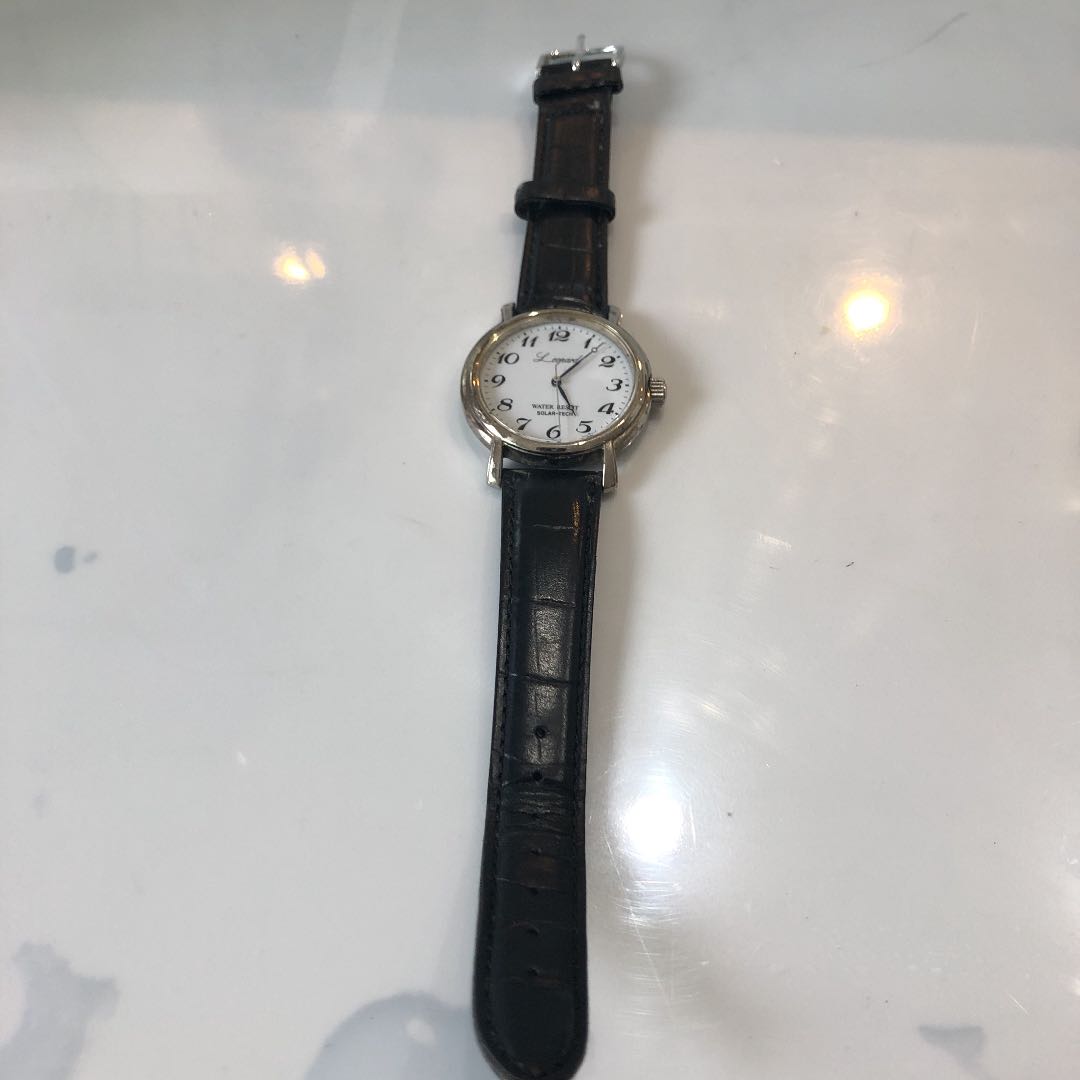 Citizen Leopard E031-S027047 Analog Solar Men