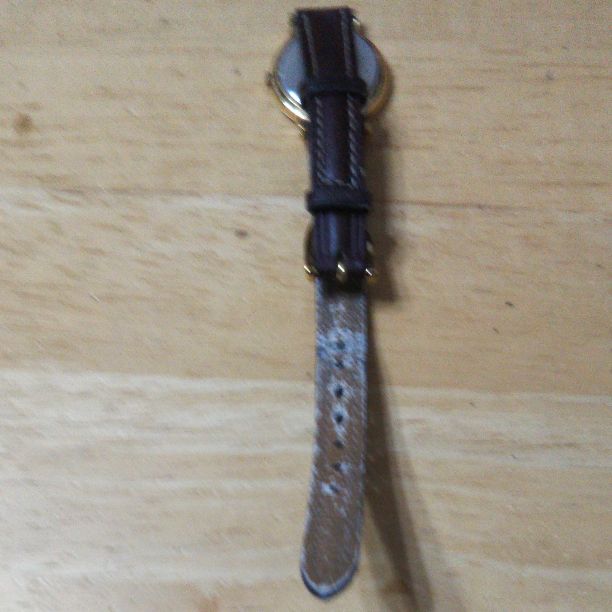 Seiko Analog Quartz Women