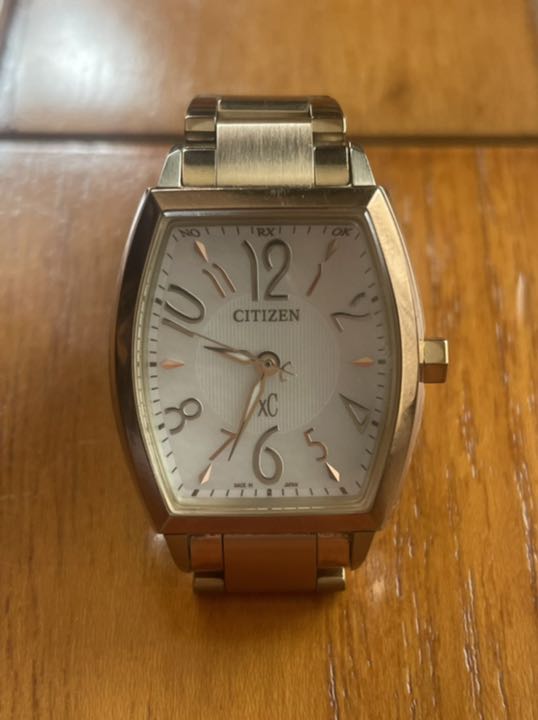 Citizen Analog Solar Men