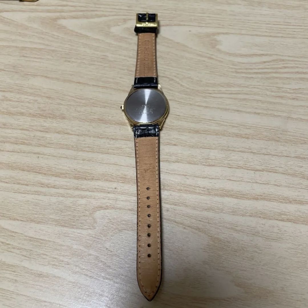 Seiko Analog Quartz Men