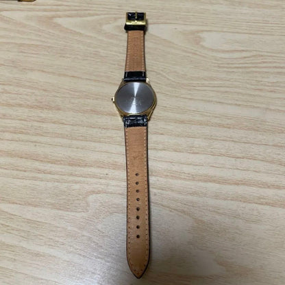 Seiko Analog Quartz Men