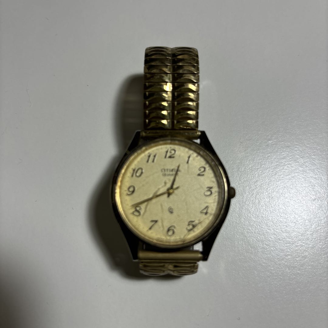 Citizen Analog Quartz Men