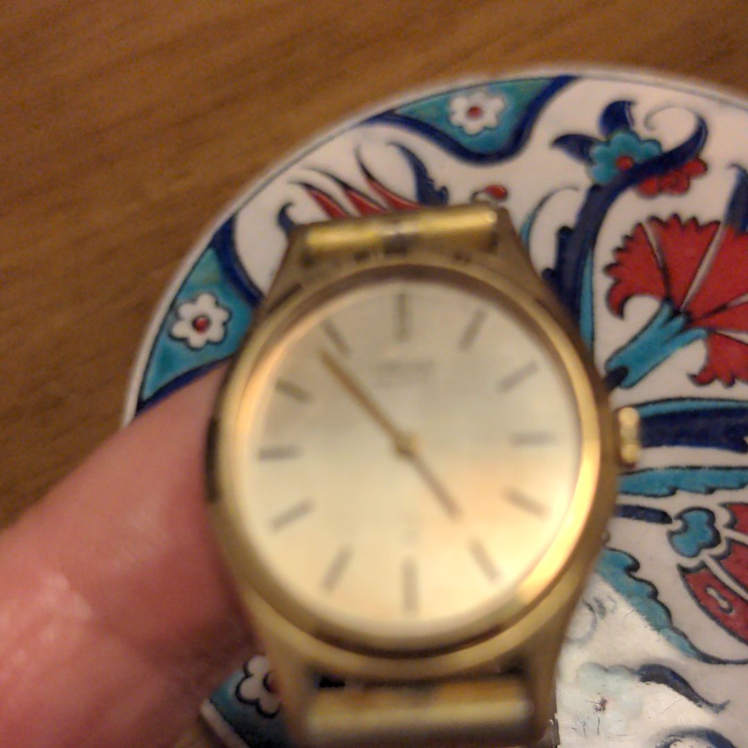 Seiko Analog Mechanical (Manual) Women