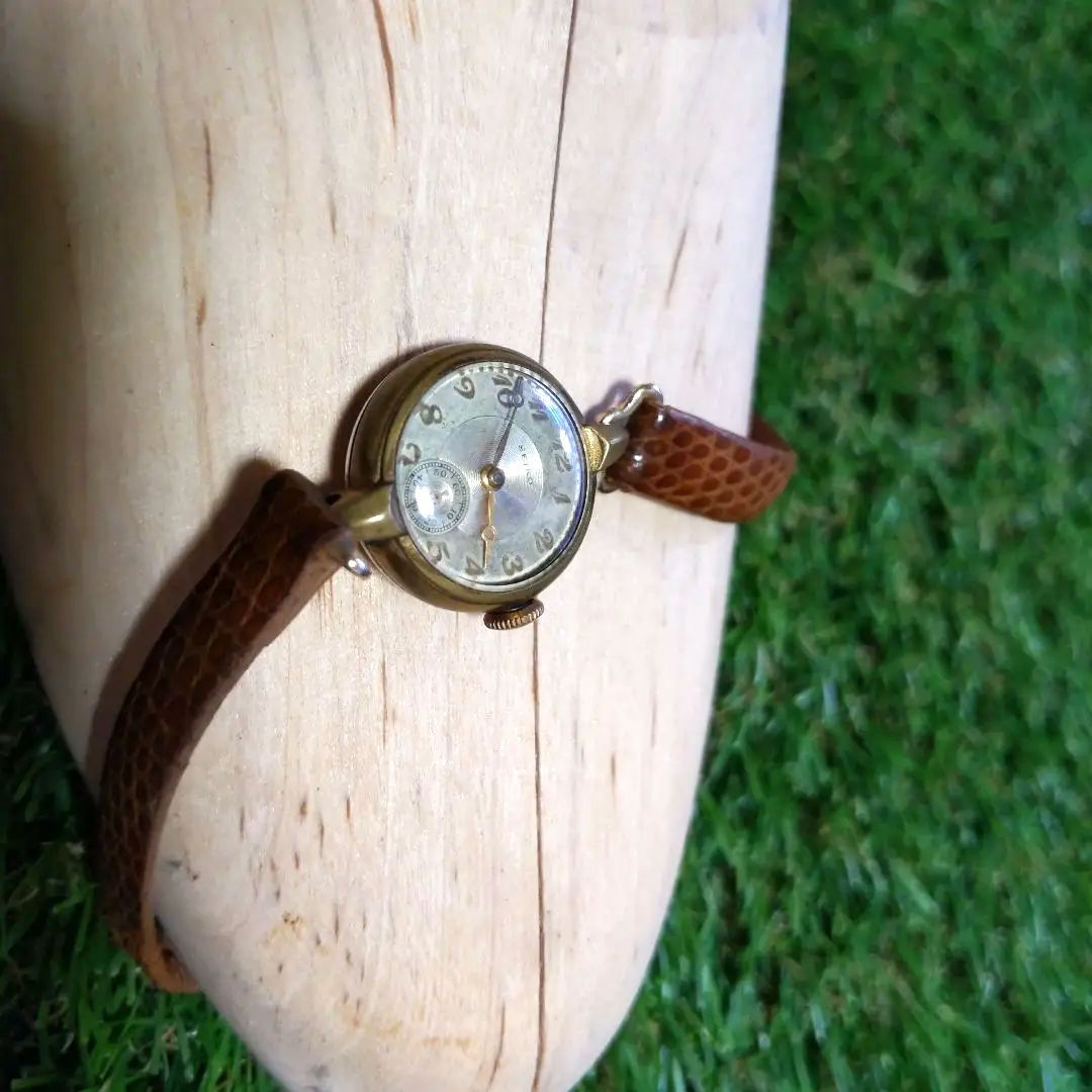 Seiko Analog Mechanical (Manual) Women