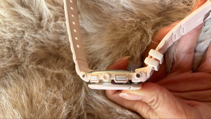 Digital-Analog Quartz Women