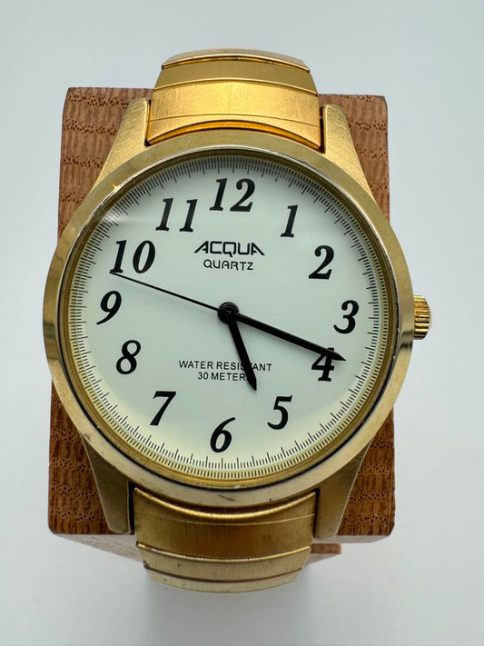 Acqua Analog Quartz Men Watch Gold Tone
