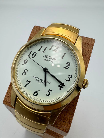 Acqua Analog Quartz Men Watch Gold Tone
