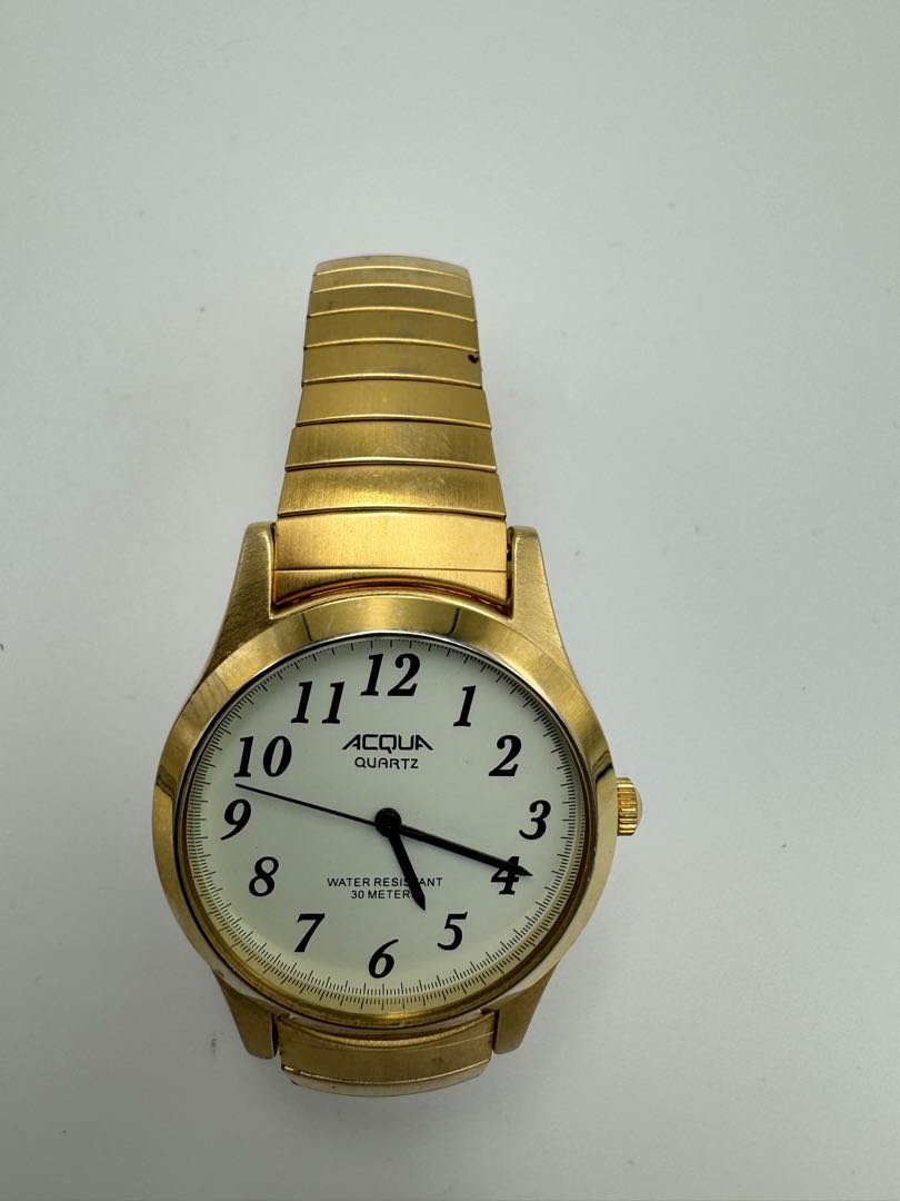 Acqua Analog Quartz Men Watch Gold Tone