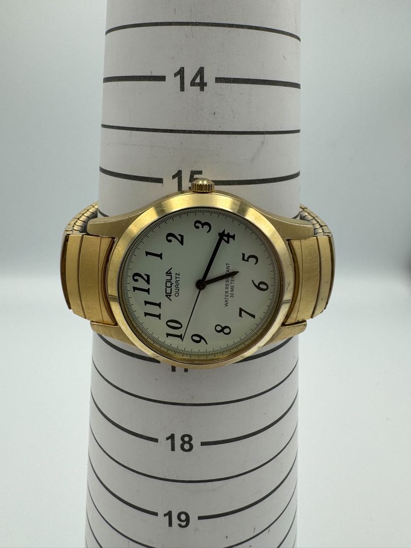 Acqua Analog Quartz Men Watch Gold Tone